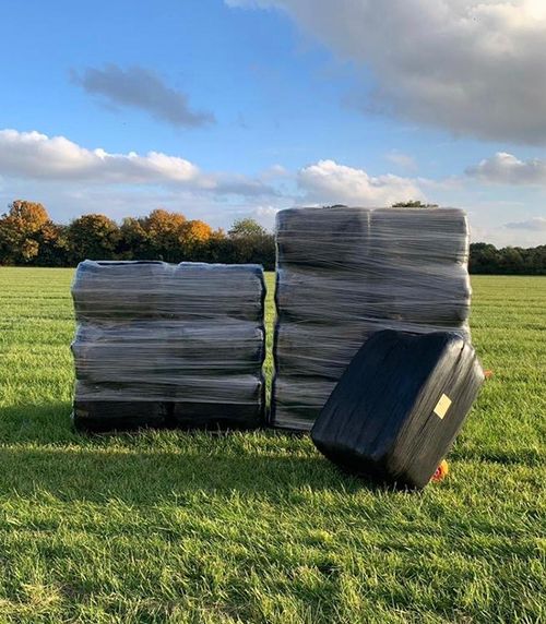 100kg Bales of High Quality Horse Haylage Norfolk EH Haylage